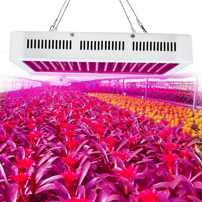 Comprar 600w a 2000w led grow light full spectrum,600w a 2000w led grow light full spectrum Preço,600w a 2000w led grow light full spectrum   Marcas,600w a 2000w led grow light full spectrum Fabricante,600w a 2000w led grow light full spectrum Mercado,600w a 2000w led grow light full spectrum Companhia,