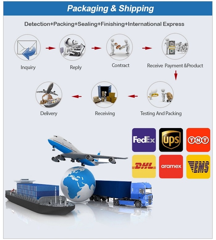 Global Ekspres ve Zamanında Teslimat