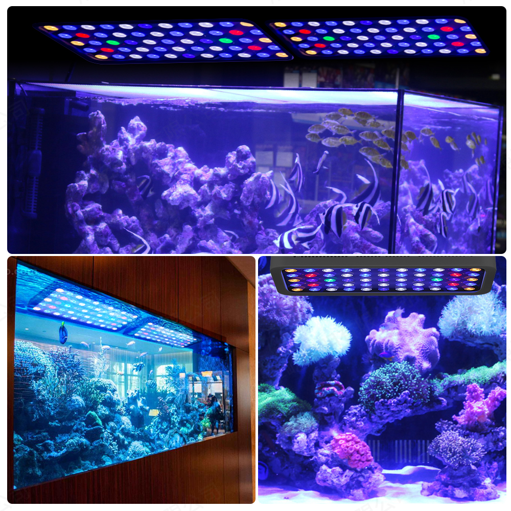 led aquarium lights