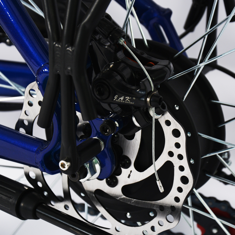  disc brakes electric bike Company