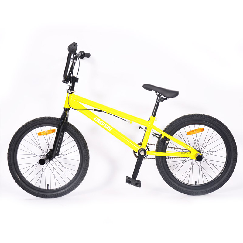 professional bmx bikes