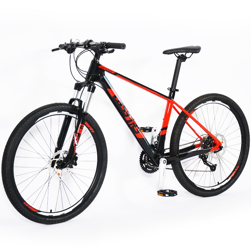 29 Inch 30 Speed Carbon Fork Racing Mountain Bike