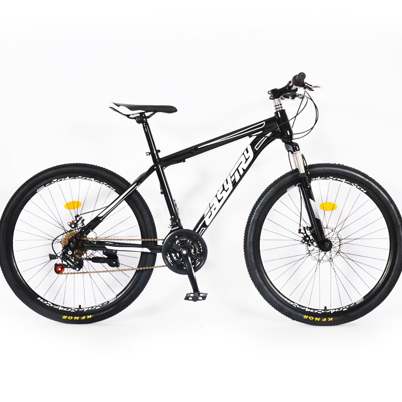 China Mountain Bike Manufacturers