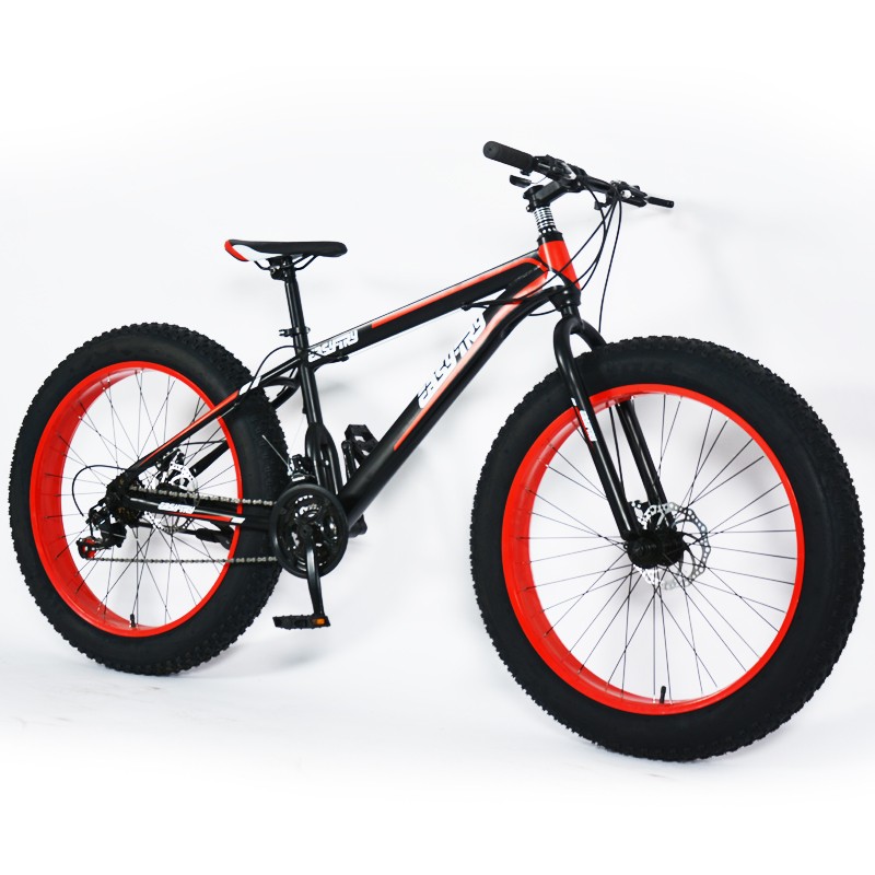 2020 new arrivals high quality Professional custom sports fat tire mountain bike for sale special bicycle