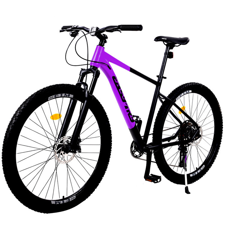 new OEM Aluminum alloy frame and pedal mountain cycling 15.4 KG 29 inch mountain bicycle for adult