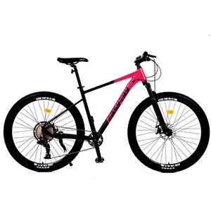 nieuwe OEM aluminium frame en pedaal mountainbiken 15,4 KG 29 inch mountainbike voor volwassen