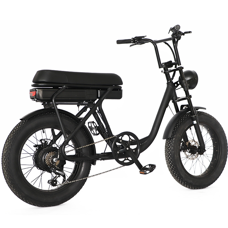 high quality 500W motor High carbon steel fork electric bicycle Aluminum alloy frame ebike for women