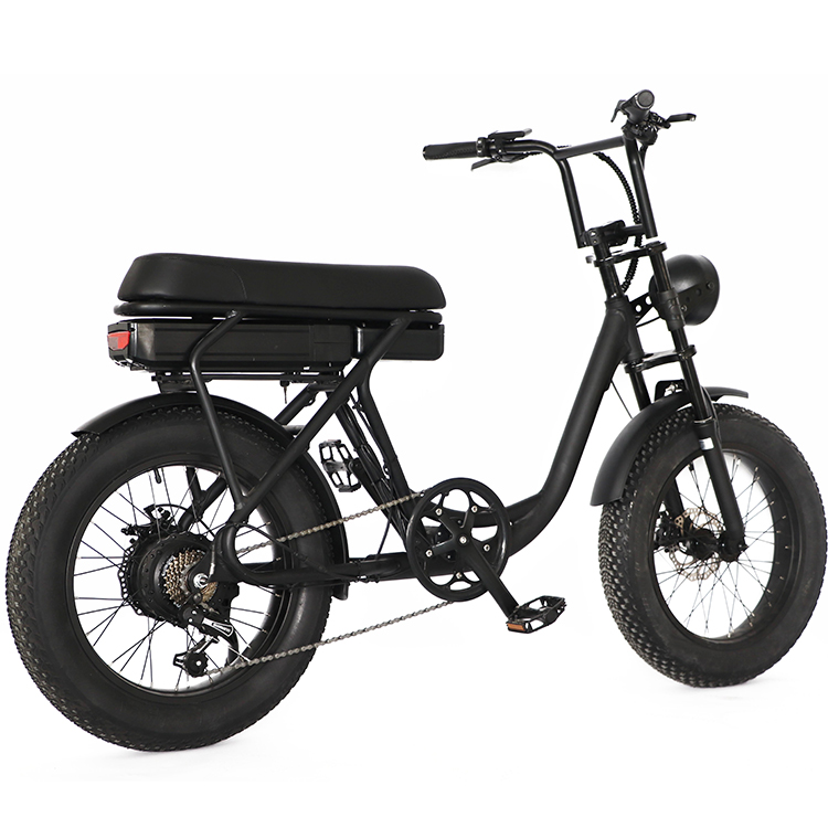 OEM 7 speed 32 km/h electric bike Aluminum alloy frame electric cycling fat tire ebike for women