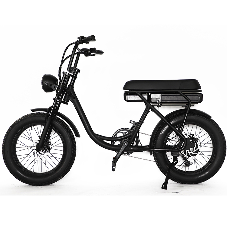 new design 36V 2A fat tire ebike 500W motor electric cycle 20 inch electric bicycle for women