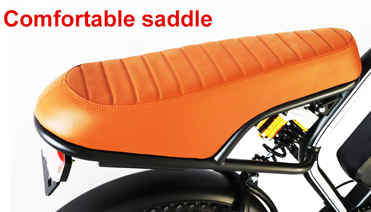 20 Inch Electric Bicycle