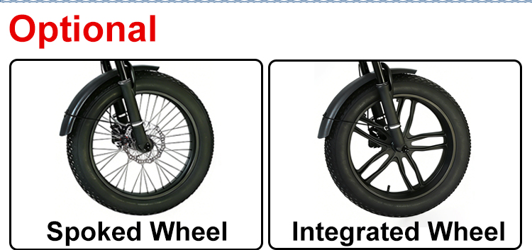 20 Inch Electric Bicycle