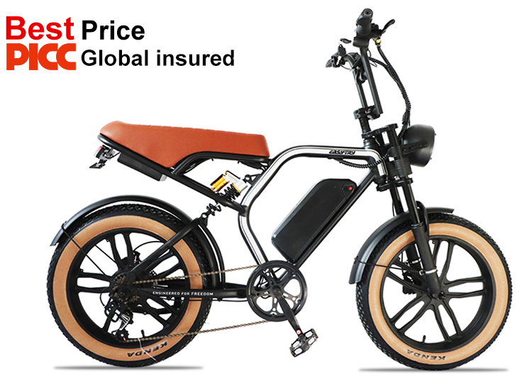 Electric Mountain Bike