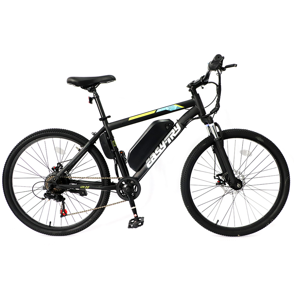 Electric Bike