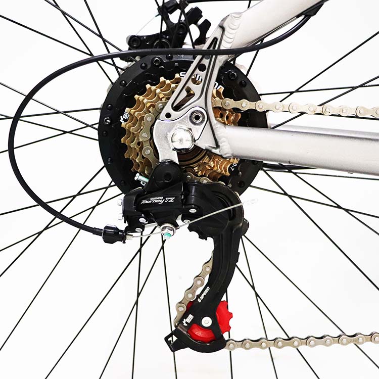 long range ebike