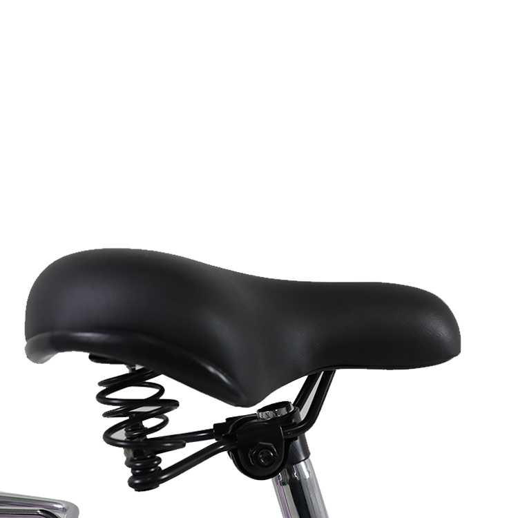 ladies bike
