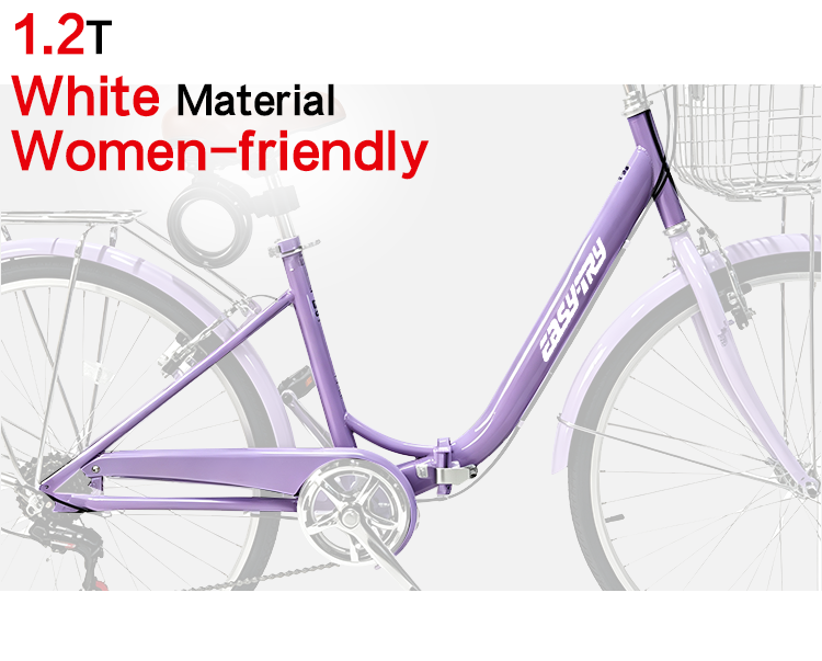 ladies bike