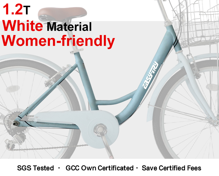 ladies bike