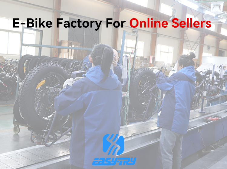 fat tire snow ebike