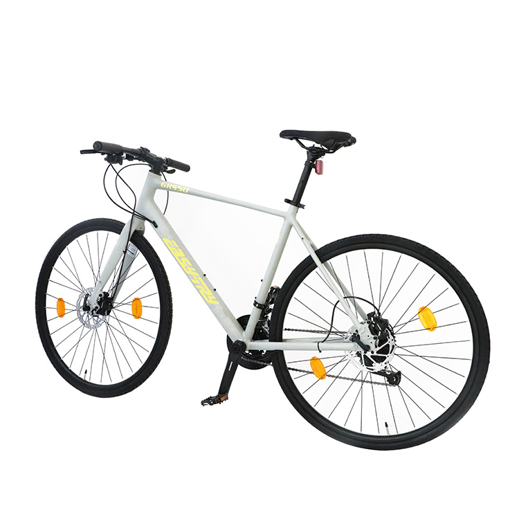 Alloy Frame 700C Professional Road Bicycle for Adults Bike for Fitness and Outdoor Cycling