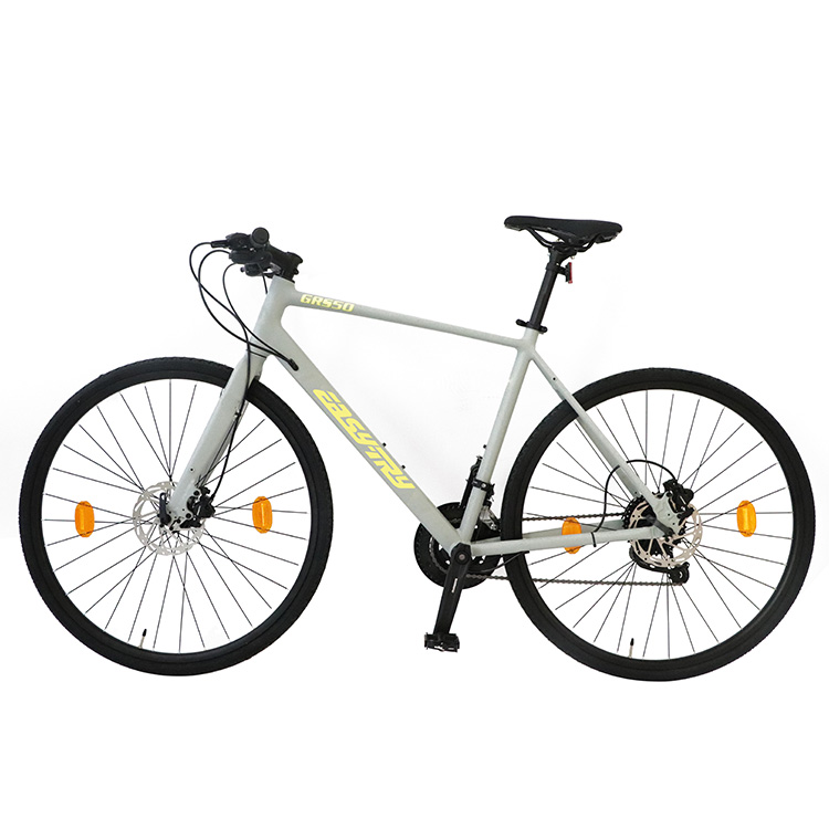 Alloy Frame 700C Professional Road Bicycle for Adults Bike for Fitness and Outdoor Cycling
