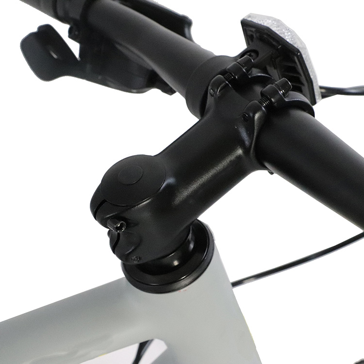 Disc brake road bicycle