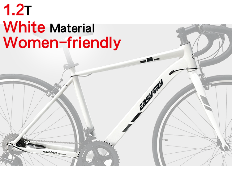 Steel road bike
