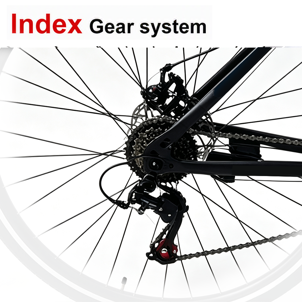 Disc brake road bicycle