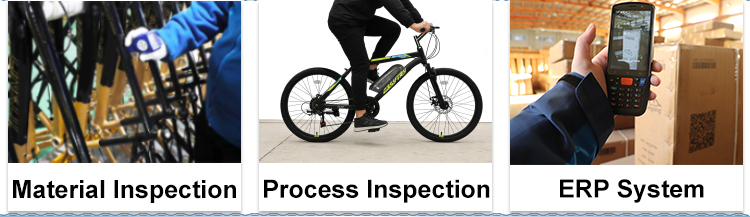 cheap electric mountain bike