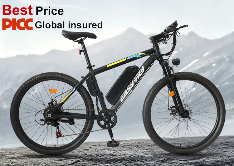 29 inch electric bike