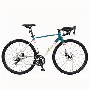Alloy 700C adults road bike 10 Speed disc road Bicycle for adults Cycling