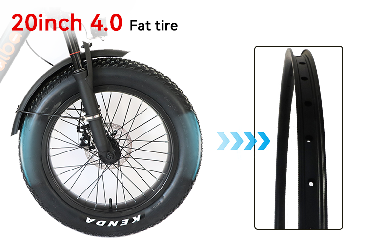 20 inch 25 km/h electric cycling