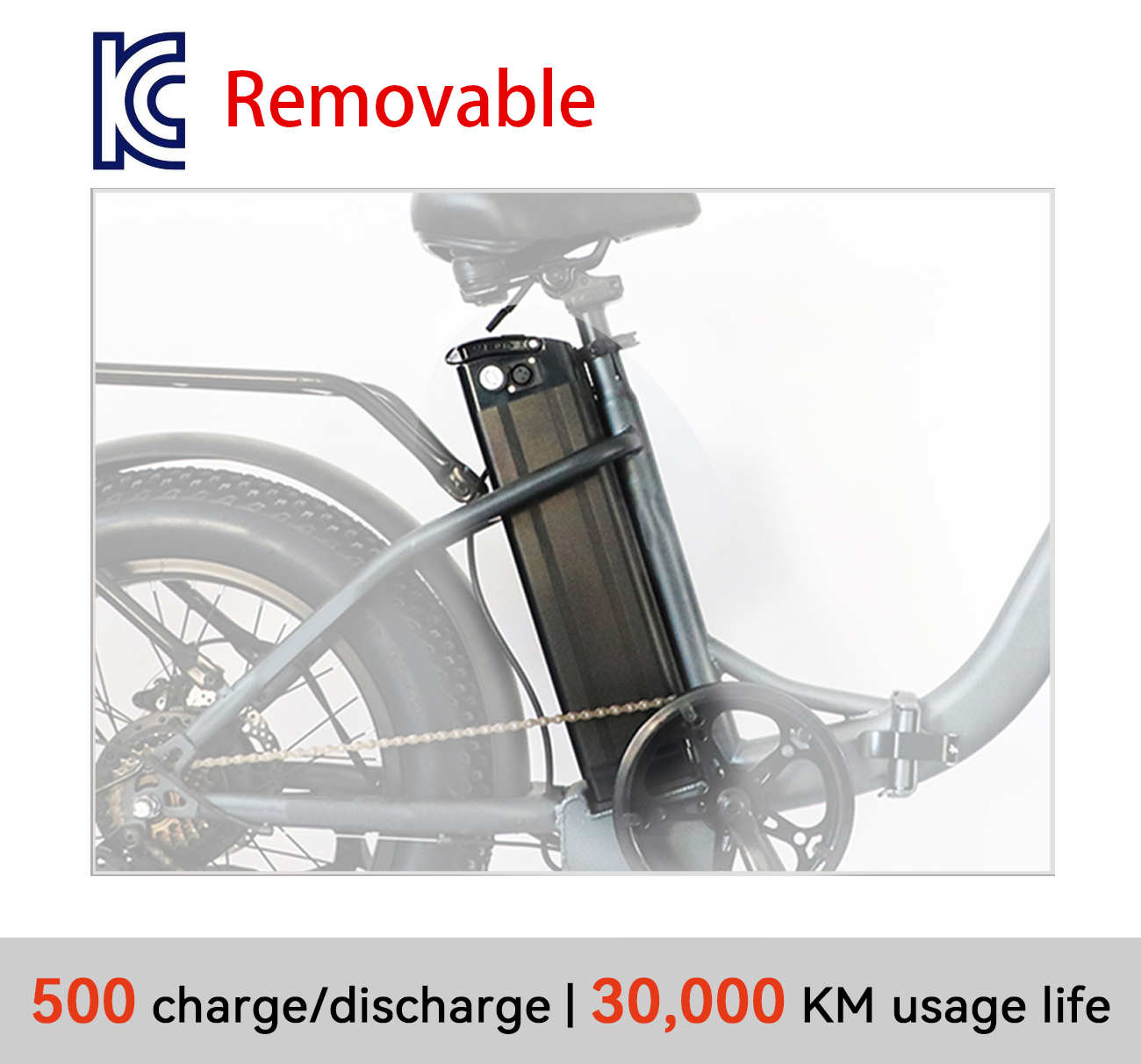 250W motor folding electric bike
