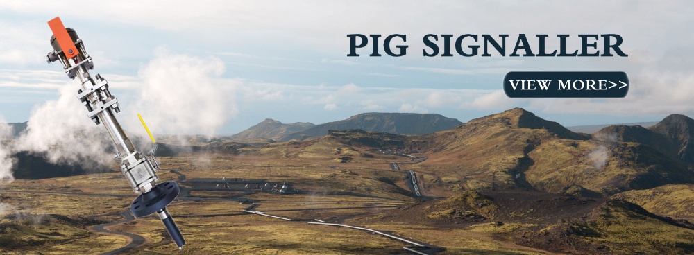 Pig Signaler