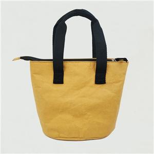 Washable Kraft Paper insulated lunch tote