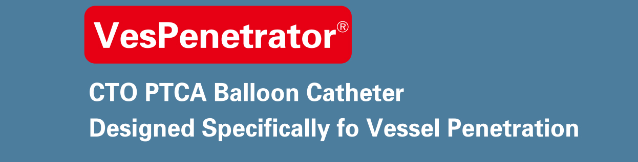 CTO PTCA Balloon Catheter