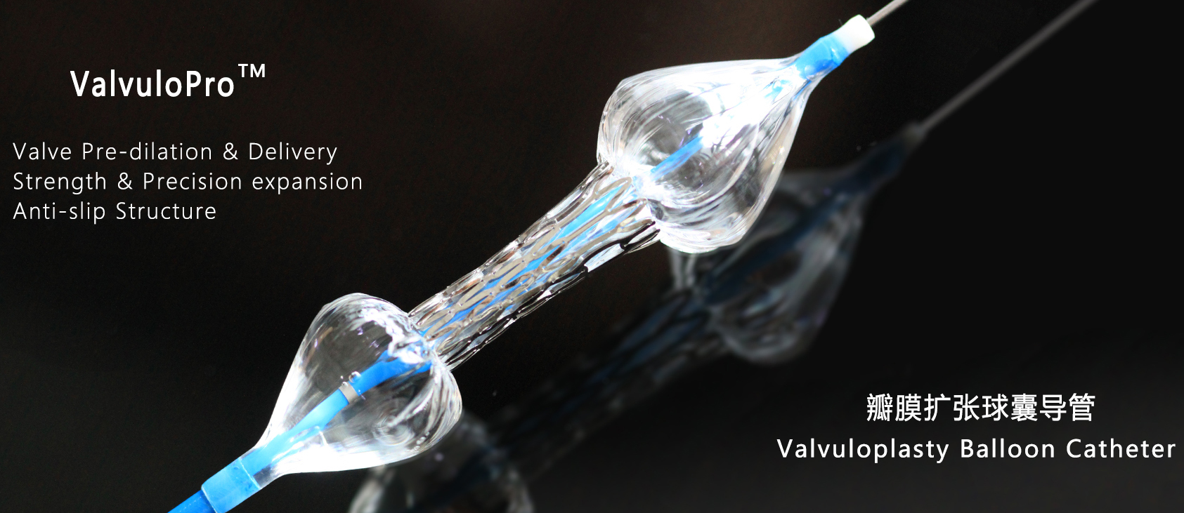 Valvuloplasty Balloon Catheter