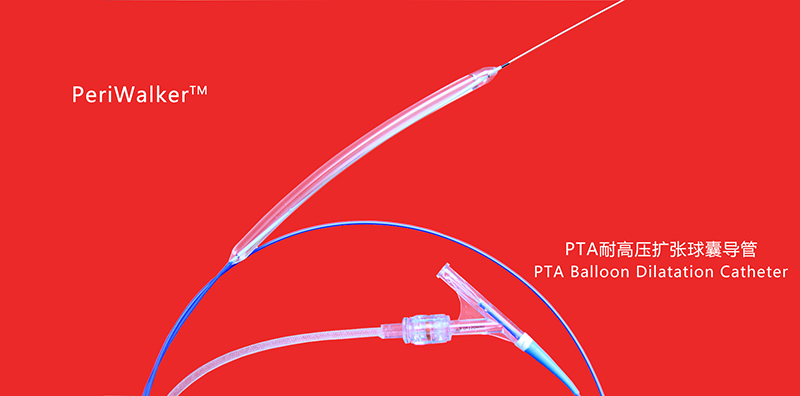 Paclitaxel Coated PTA Balloon Catheter