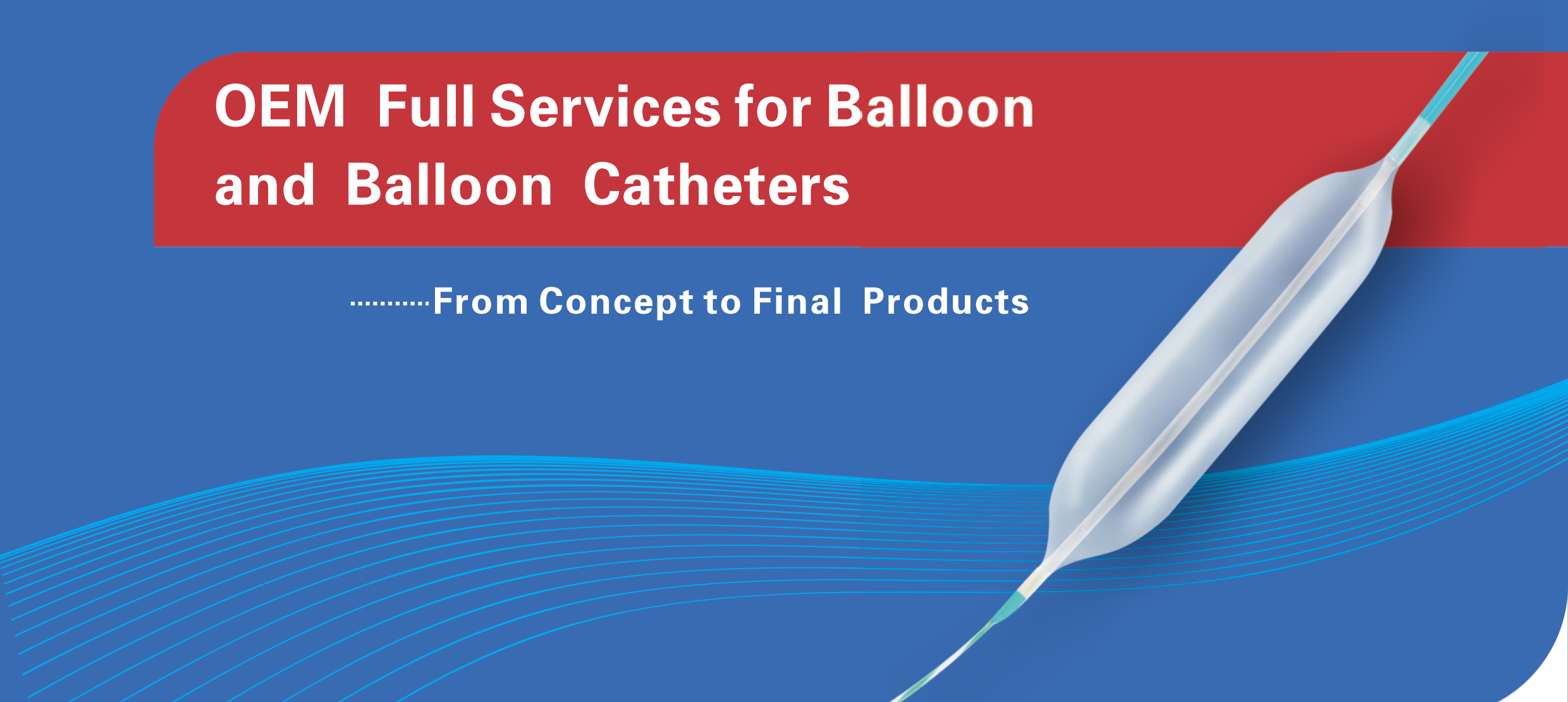 Paclitaxel Coated PTCA Balloon Catheter