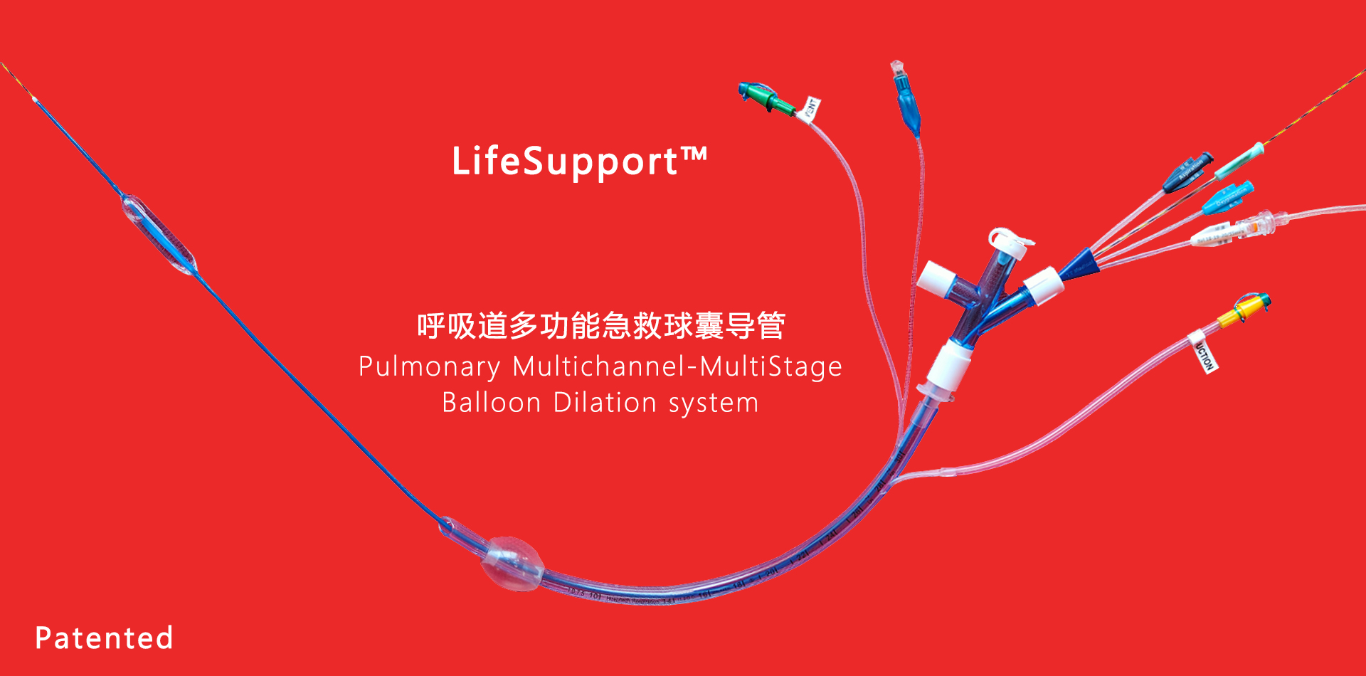 Balloon Catheter Dilatation of Pulmonic