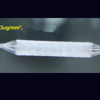 Neuro Sirolimus Coated Balloon Catheter