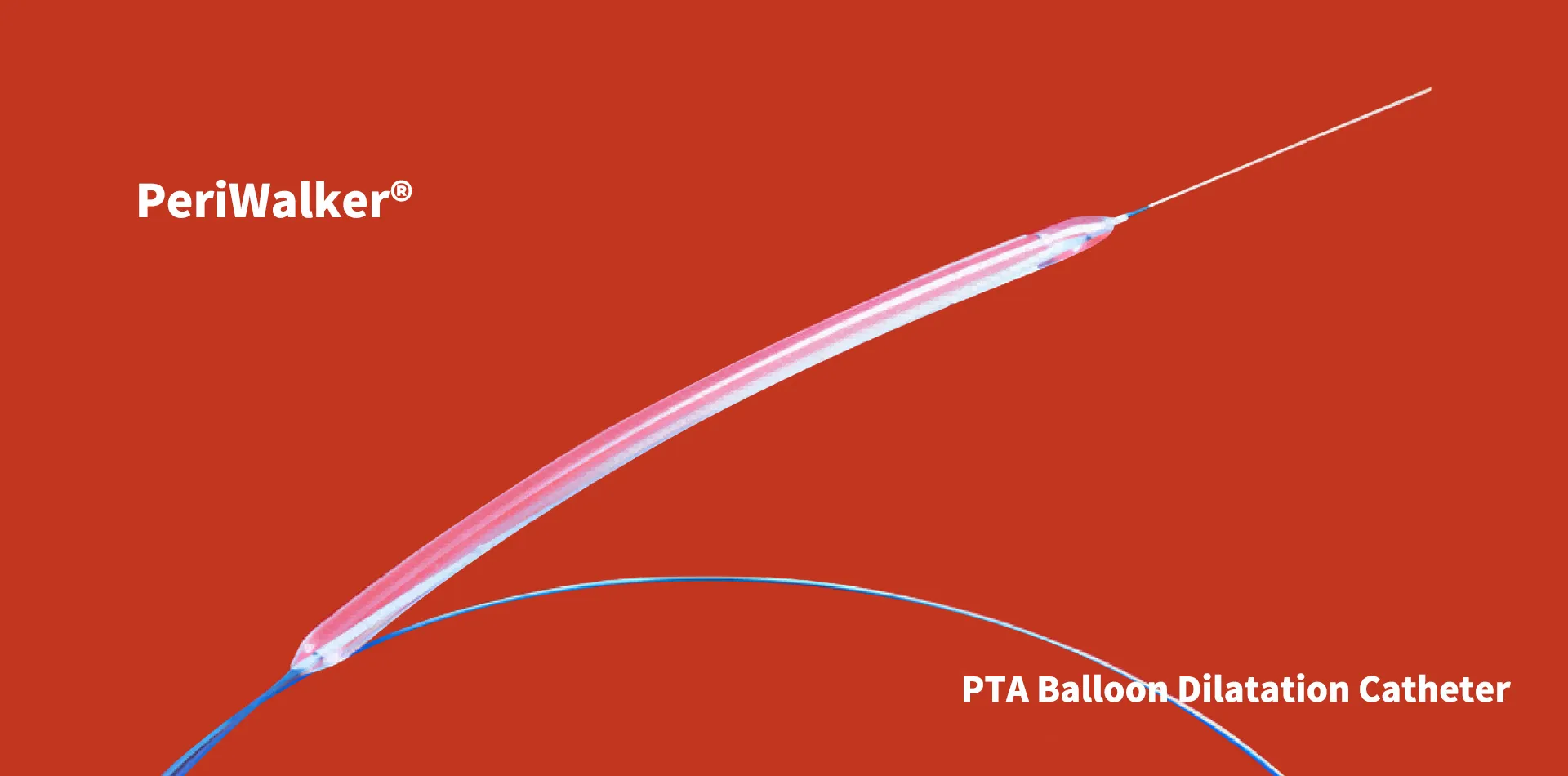 PTA Balloon Dilatation Catheter