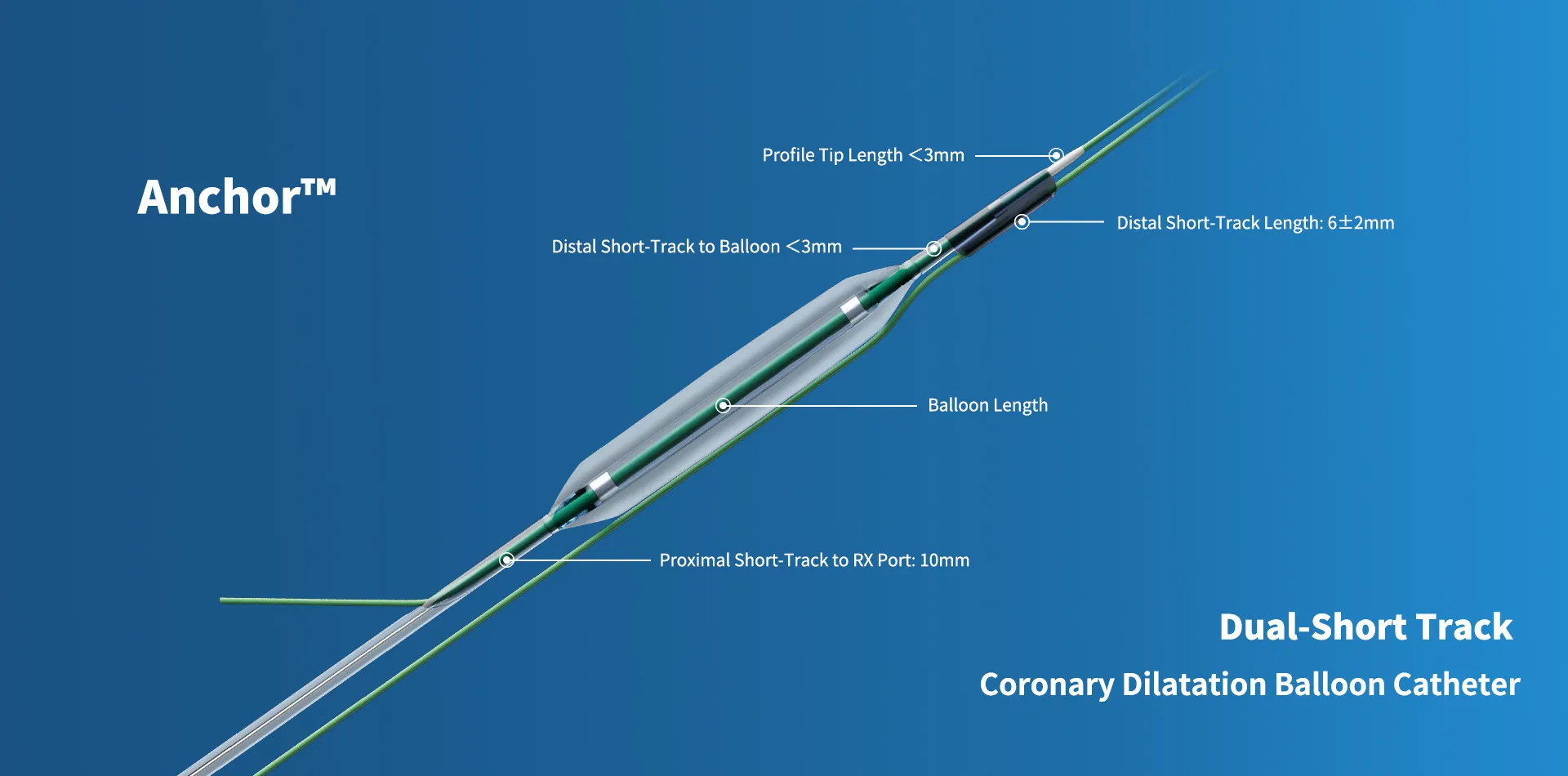 Anchor™ Dual-Short Track Coronary Dilatation Balloon Catheter