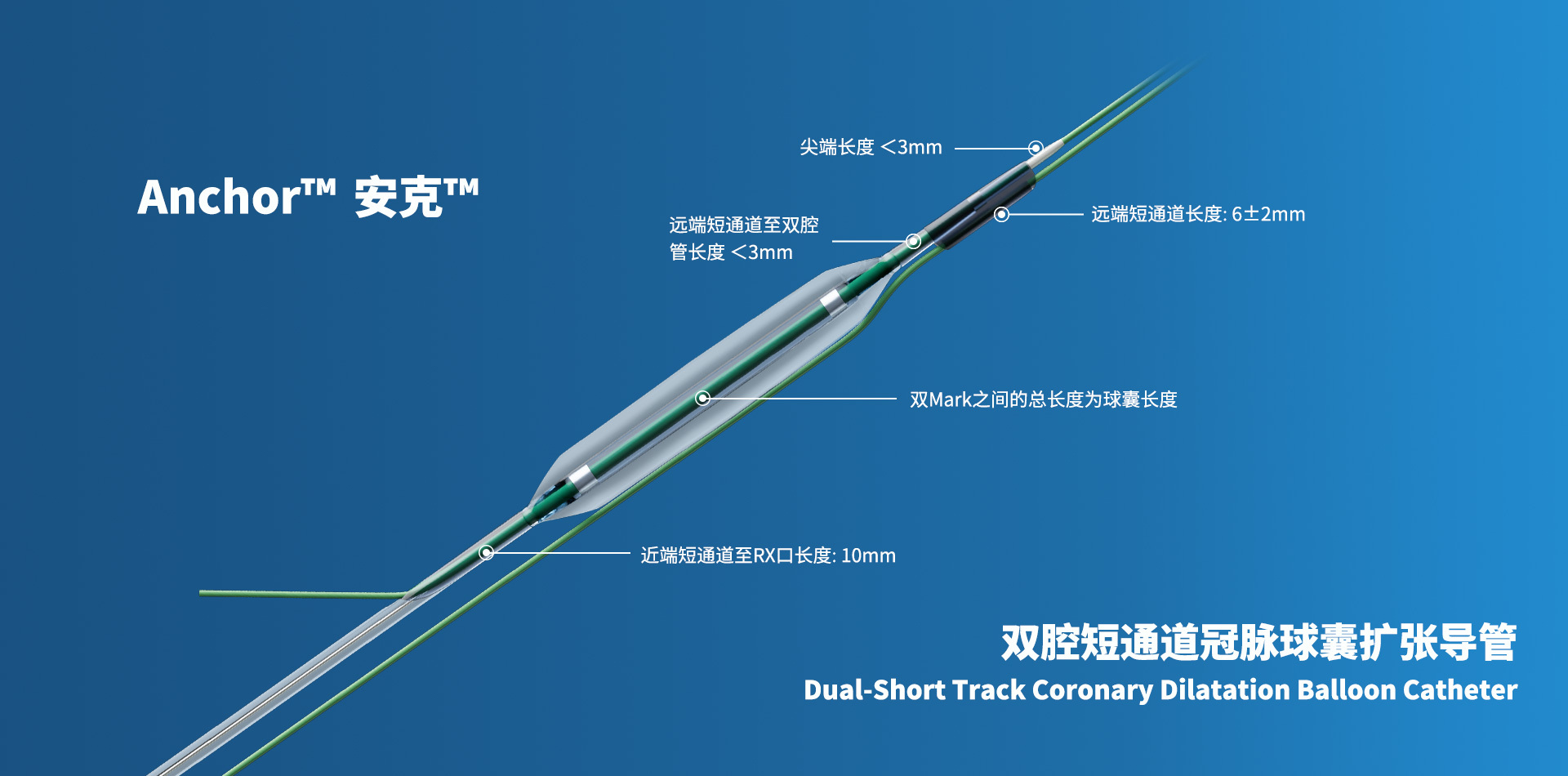 DST 双腔短通道冠脉球囊