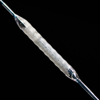 Kateter Belon PTCA Bersalut EverFlow® Sirolmus