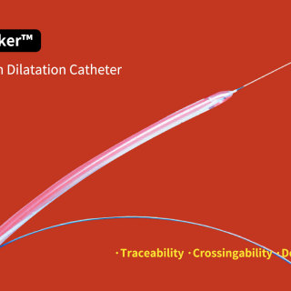 PTA Balloon Catheter.