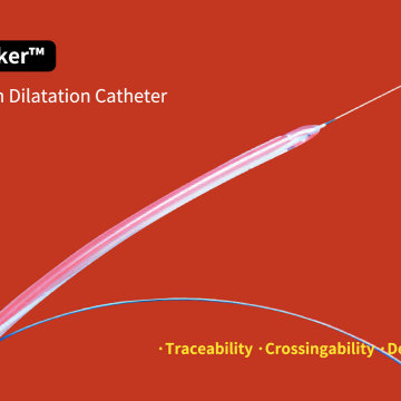PTA Balloon Catheter.