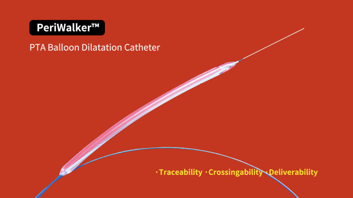 PTA Balloon Catheter.