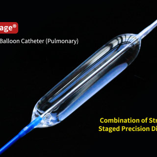 MultiStage® Balloon Dilatation Catheter.