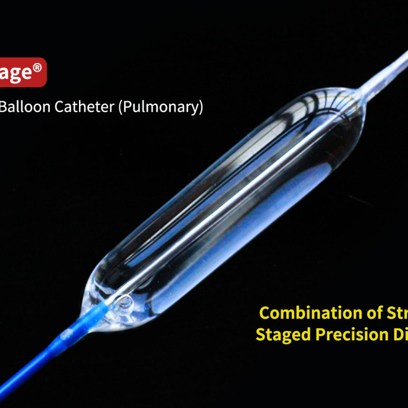 MultiStage® Balloon Dilatation Catheter.