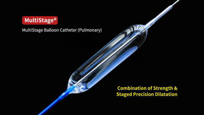 MultiStage® Balloon Dilatation Catheter.